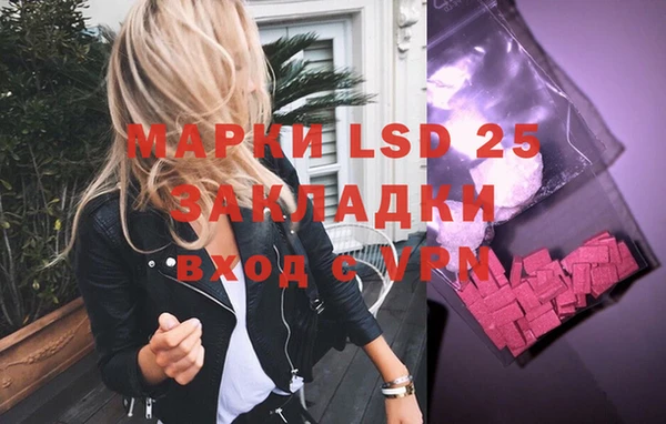 прущие грибы Алзамай