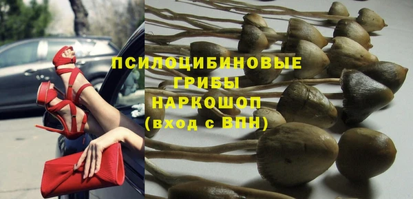 ECSTASY Алексеевка