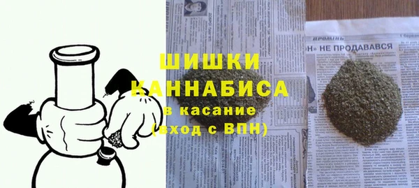 прущие грибы Алзамай